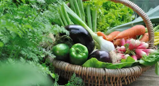 Aliments du moment - 3733